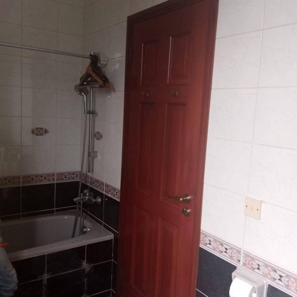 Bathroom door, mahogany gloss