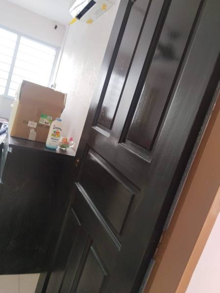 Dark panel door, high gloss