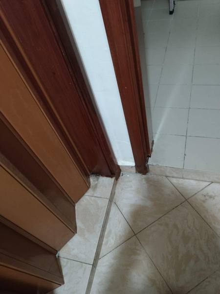 Door frame restored at tiles