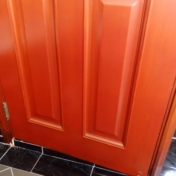 Panel door in teak tone