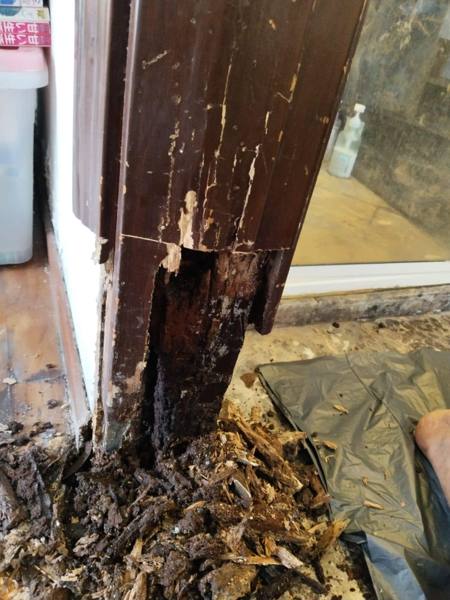 Termite-damaged and rotten door frame bottom in a Singapore home before repair