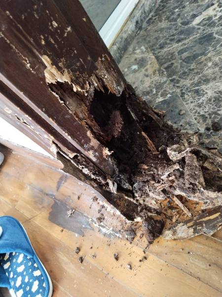 Termite-eaten door frame bottom