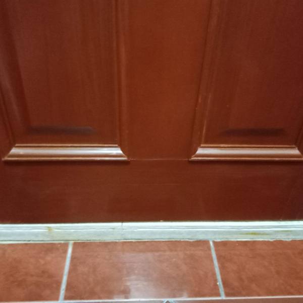 Toilet door bottom refinished