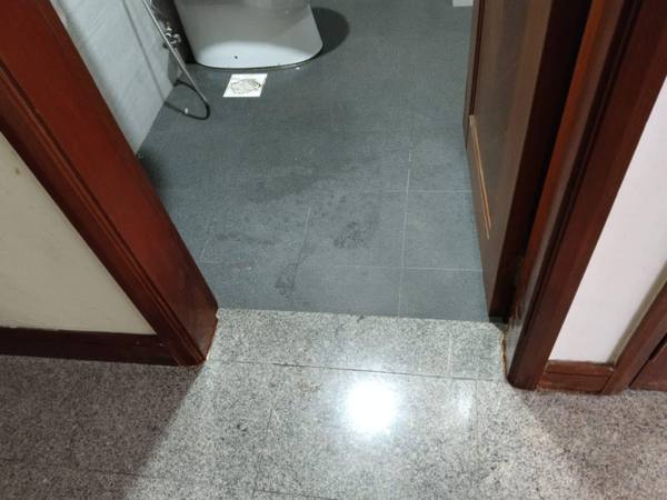 Toilet frames after